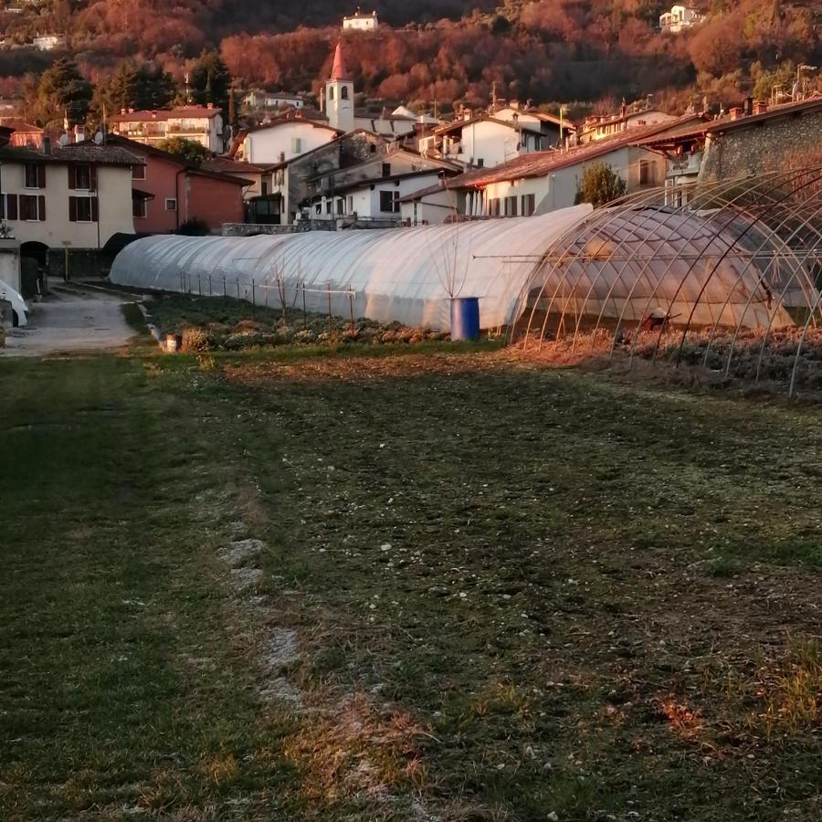 Agriturismo Corte Fontana App. Barbara Сало Экстерьер фото
